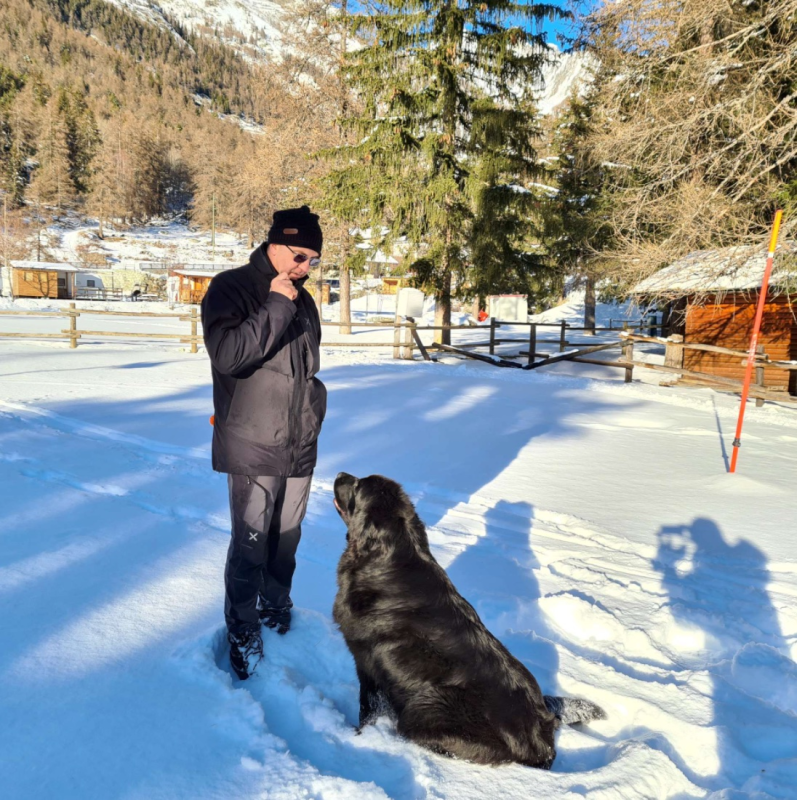 Images Amici a 4 Zampe