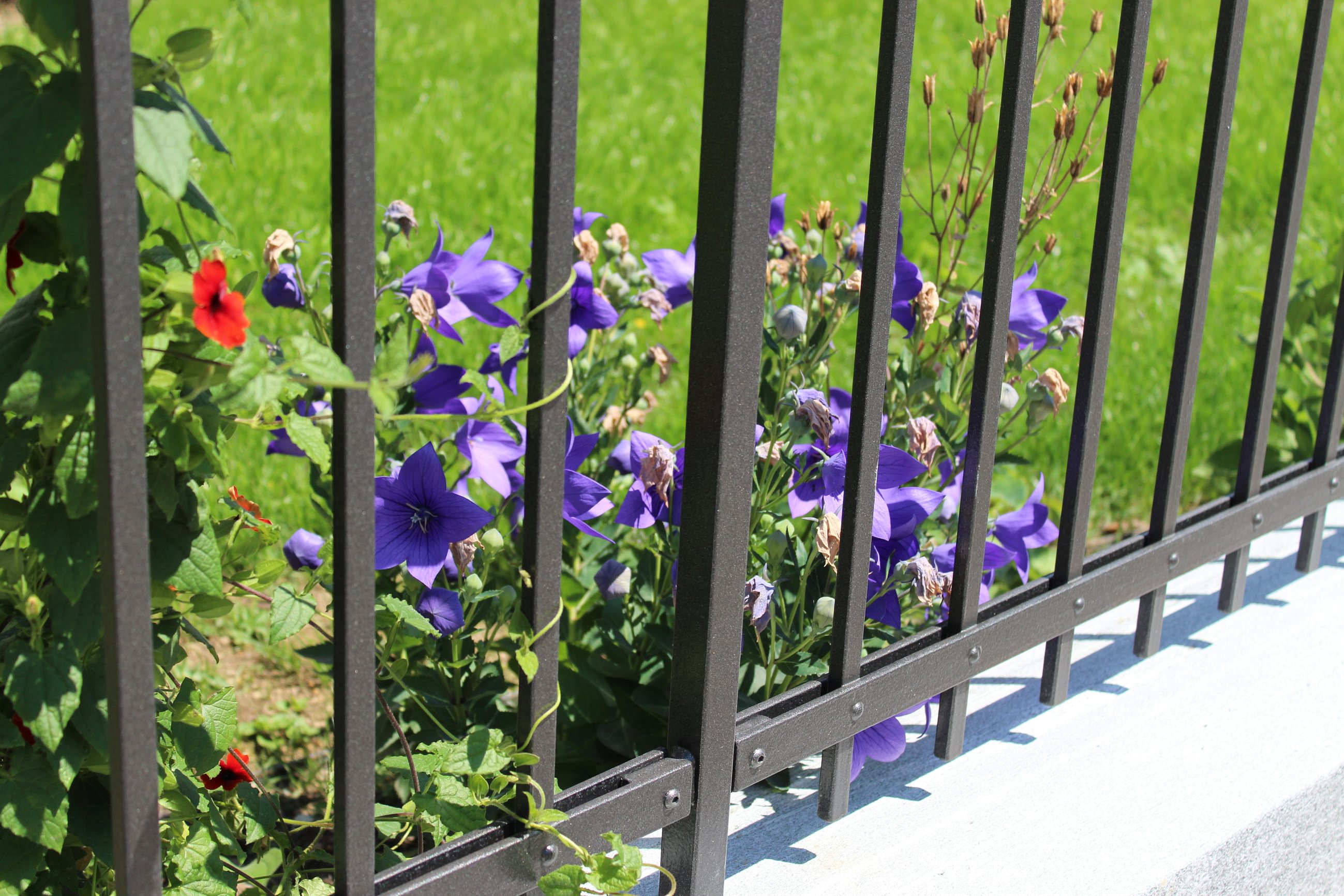 Tschann und Rietmann Gartenbau AG, Wilerstrasse 50 in Amlikon-Bissegg