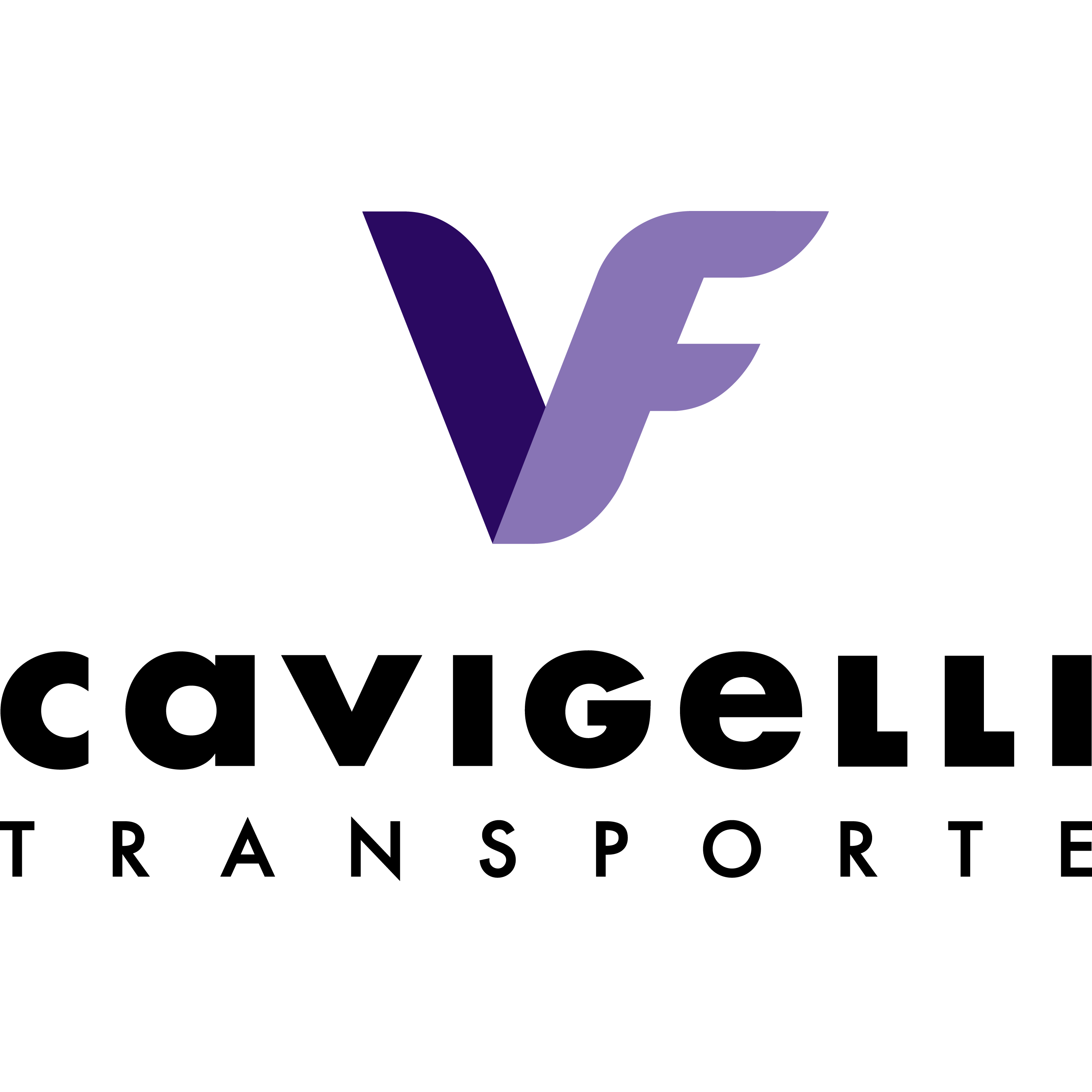 V & F Cavigelli Transporte AG Logo