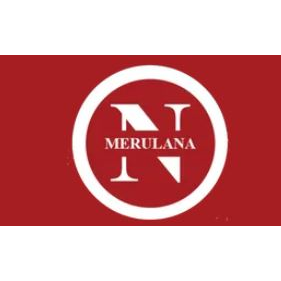 Numismatica Merulana Logo