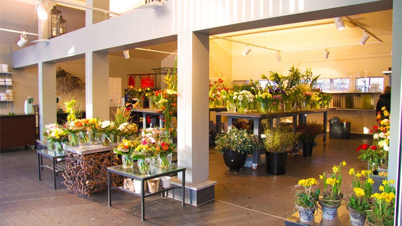 Bild 2 von Blumen Schonsky
