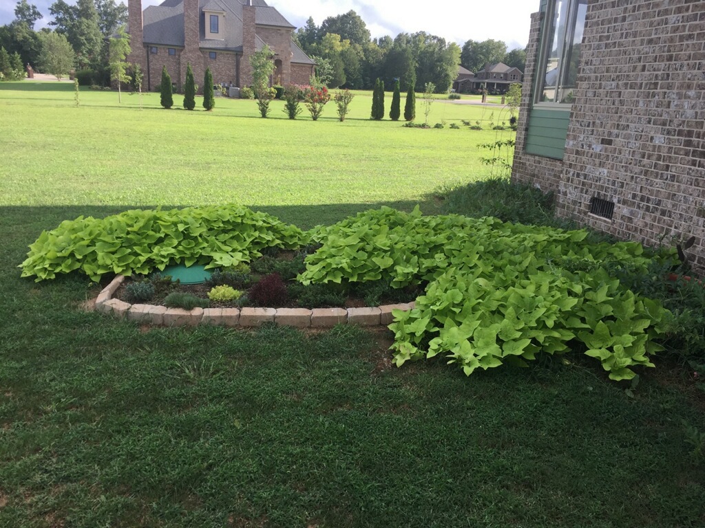 Simple Onsite Septic