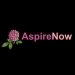Aspire Now Logo