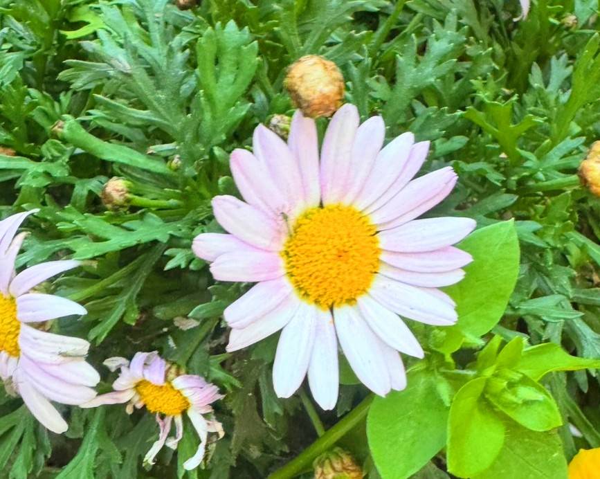 Images 横浜の大衆焼肉 弘明寺駅前店