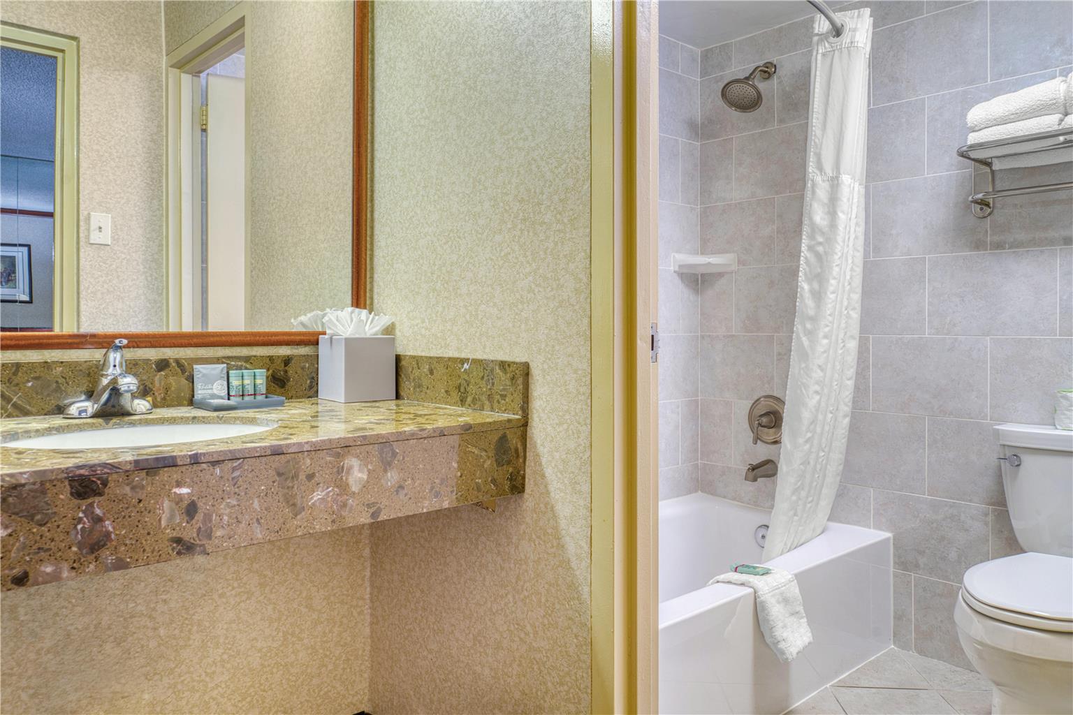 Suite King Bathroom
