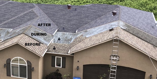 Images MI Roof Renewal