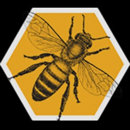 Busy Bee Advisors - Sacramento, CA 95825 - (916)400-3500 | ShowMeLocal.com