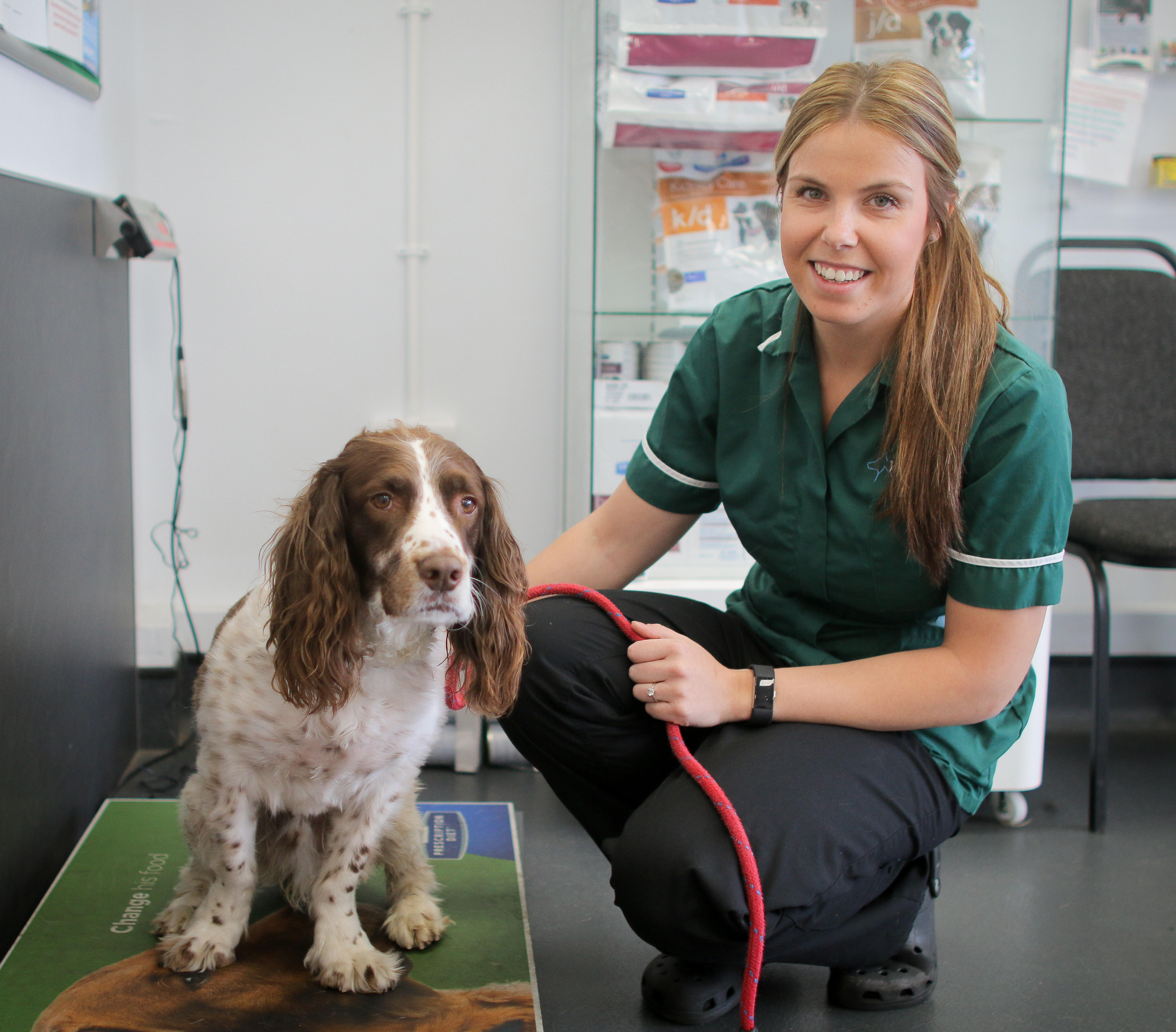 Westway Veterinary Group, Houghton Houghton le Spring 01915 126600