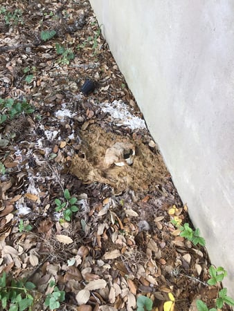 Images Van Delden Wastewater Systems