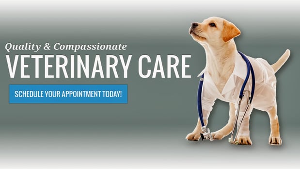 Images North Main Animal Hospital