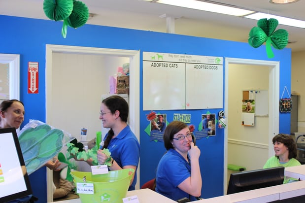 Images The Humane Society of Charlotte