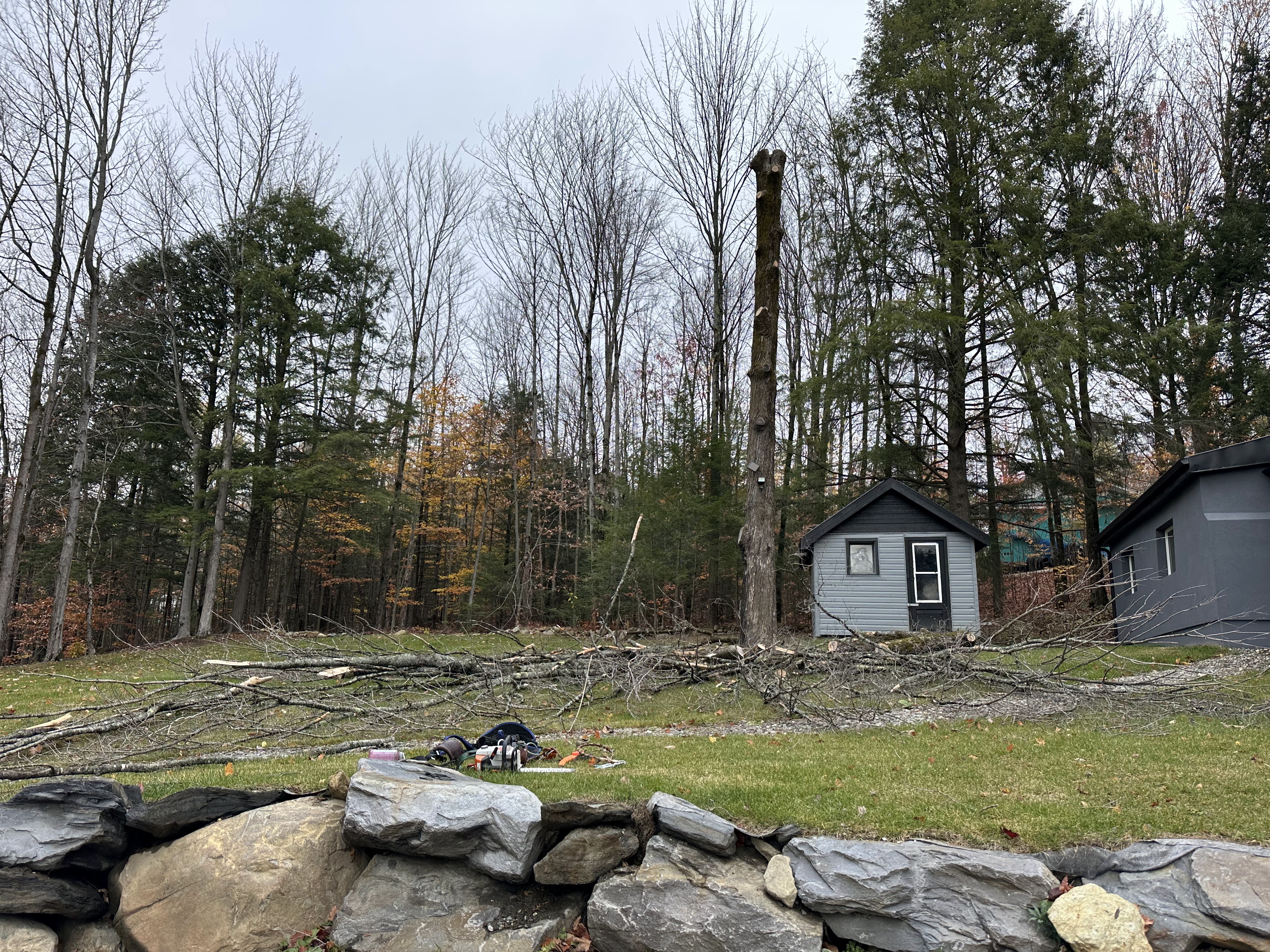 Images Altitude Abattage - Services d'arbres, Élagage, Émondage