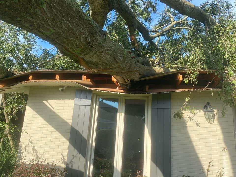 Heaven Sent Tree Service and Recovery Image