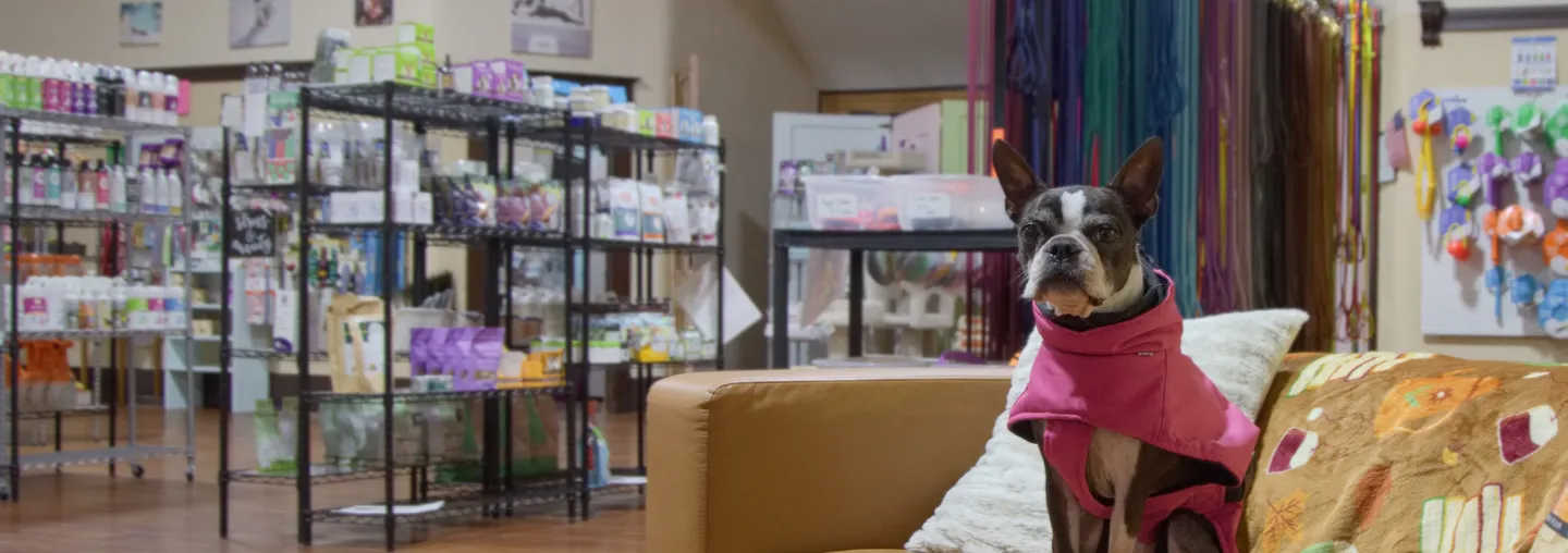 Image of Local Pet Event Supplements 101 Nearby