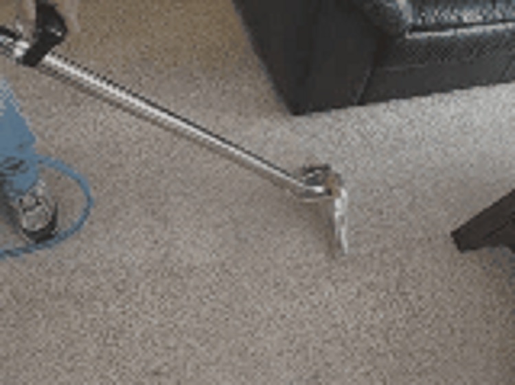 Images Johnson's Carpet Cleaning