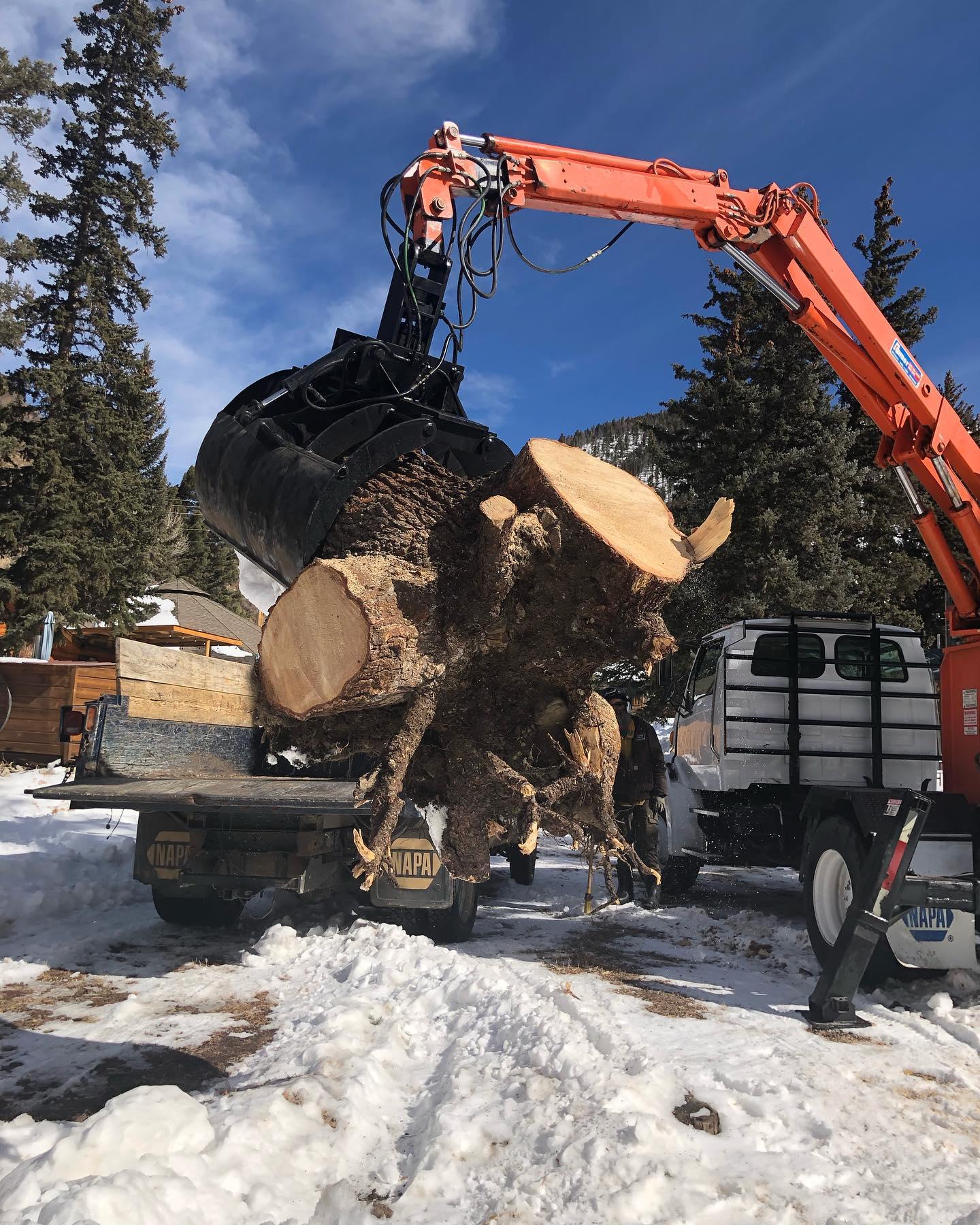 Wilson's Tree Service is a tree removal service company in Red River, NM.