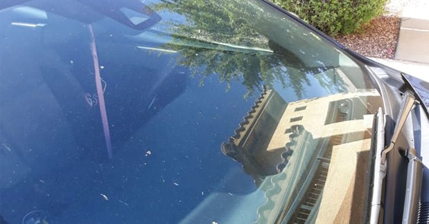 Images Expert Auto Glass