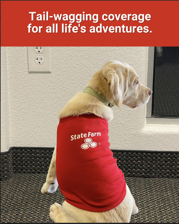 Images Kenny Hill - State Farm Insurance Agent