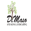 DiMaso & Sons Landscaping