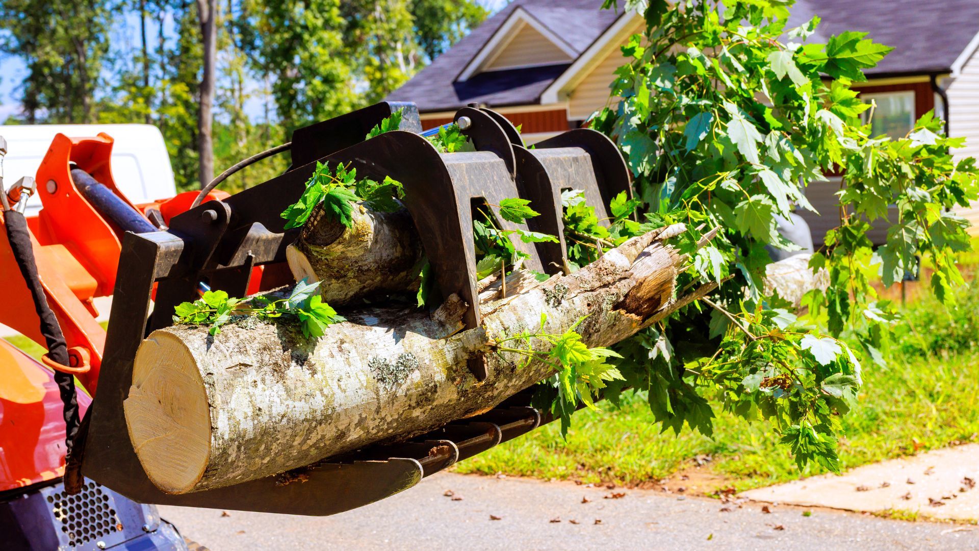 Cut And Run Tree Service
