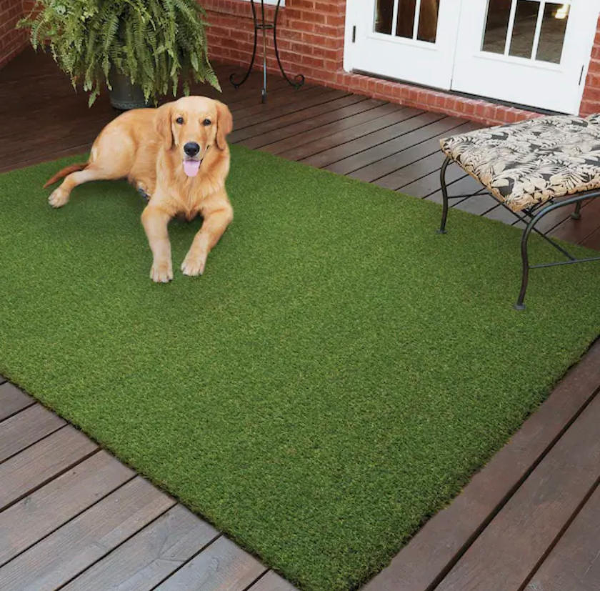 American Artificial Grass- Pet Turf