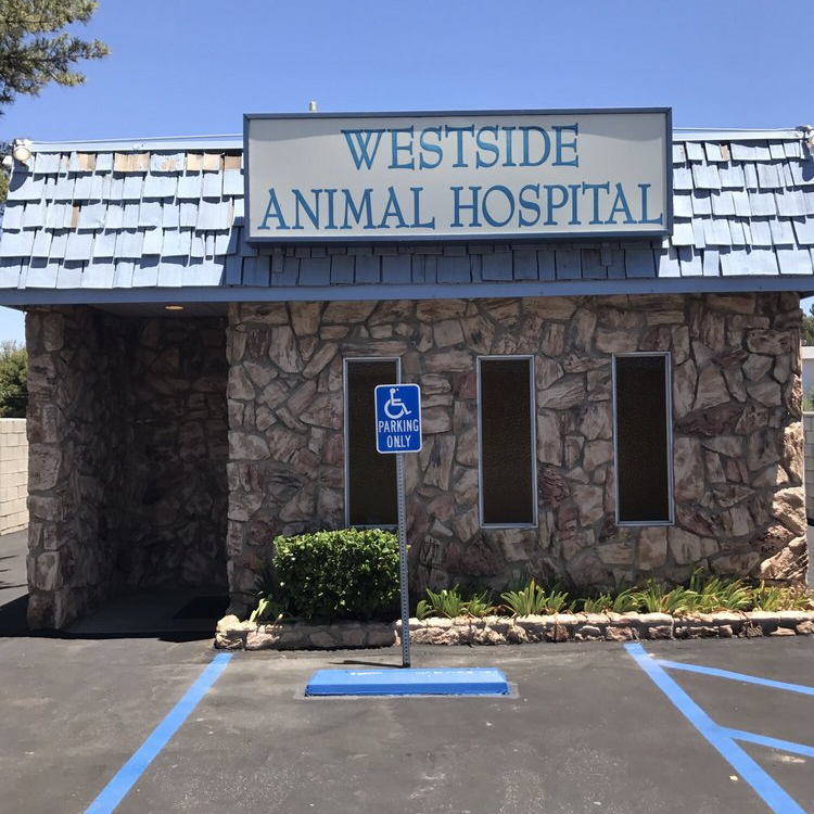 Westside Animal Hospital Inc.