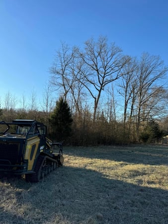 Images Weaver’s Forestry & Land Services