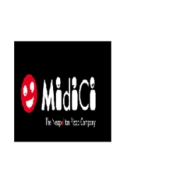 Stone Fire Pizza by Midici Logo