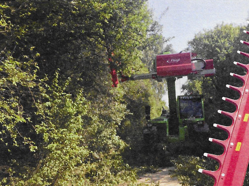 Garten- & Landschaftspflege Fa. Torsten Marks, Alte Lindenstraße 16 in Wandlitz