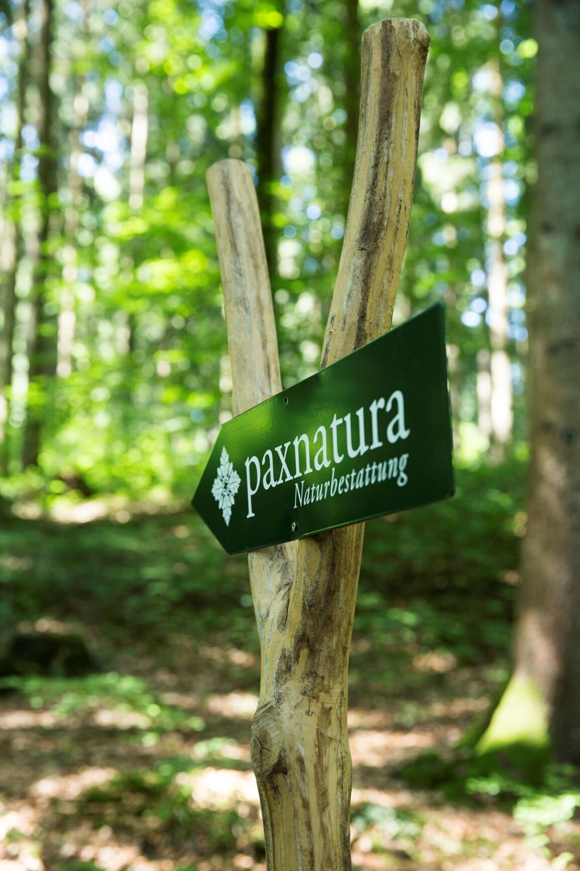 Bilder paxnatura Naturbestattungs GmbH & Co KG