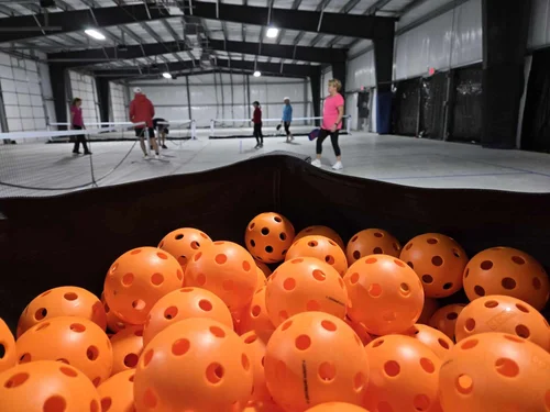 Images Dinkers Indoor Pickleball
