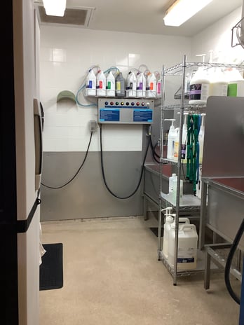 Images Petco Grooming