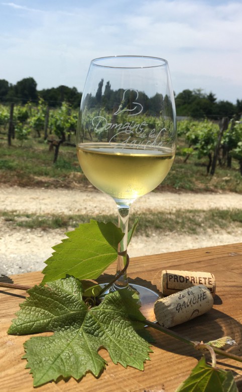 Verre de Sauternes au Domaine de la Gauche