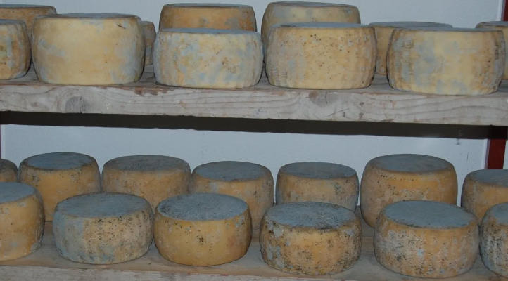 Images Agriturismo Manasi