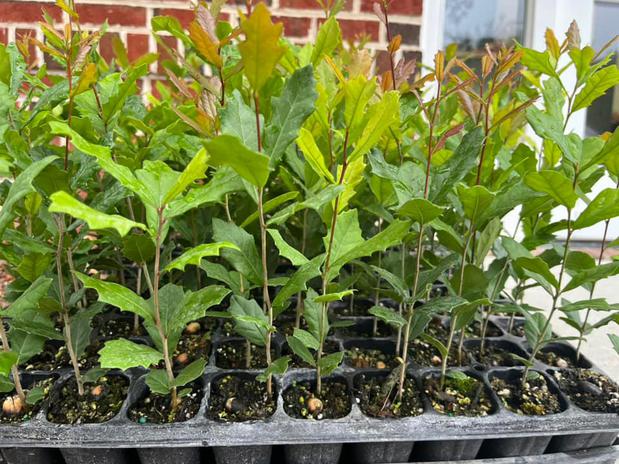 Images Bryan Fifer - State Farm Insurance Agent