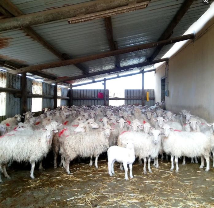 Images Agriturismo su Stai Podere Valbella