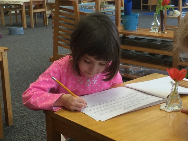 Images San Lorenzo Montessori