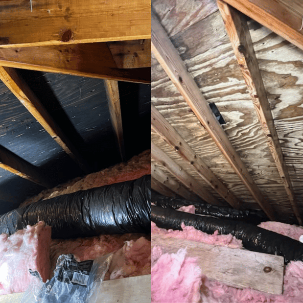 Images Quality Mold Remediation LLC