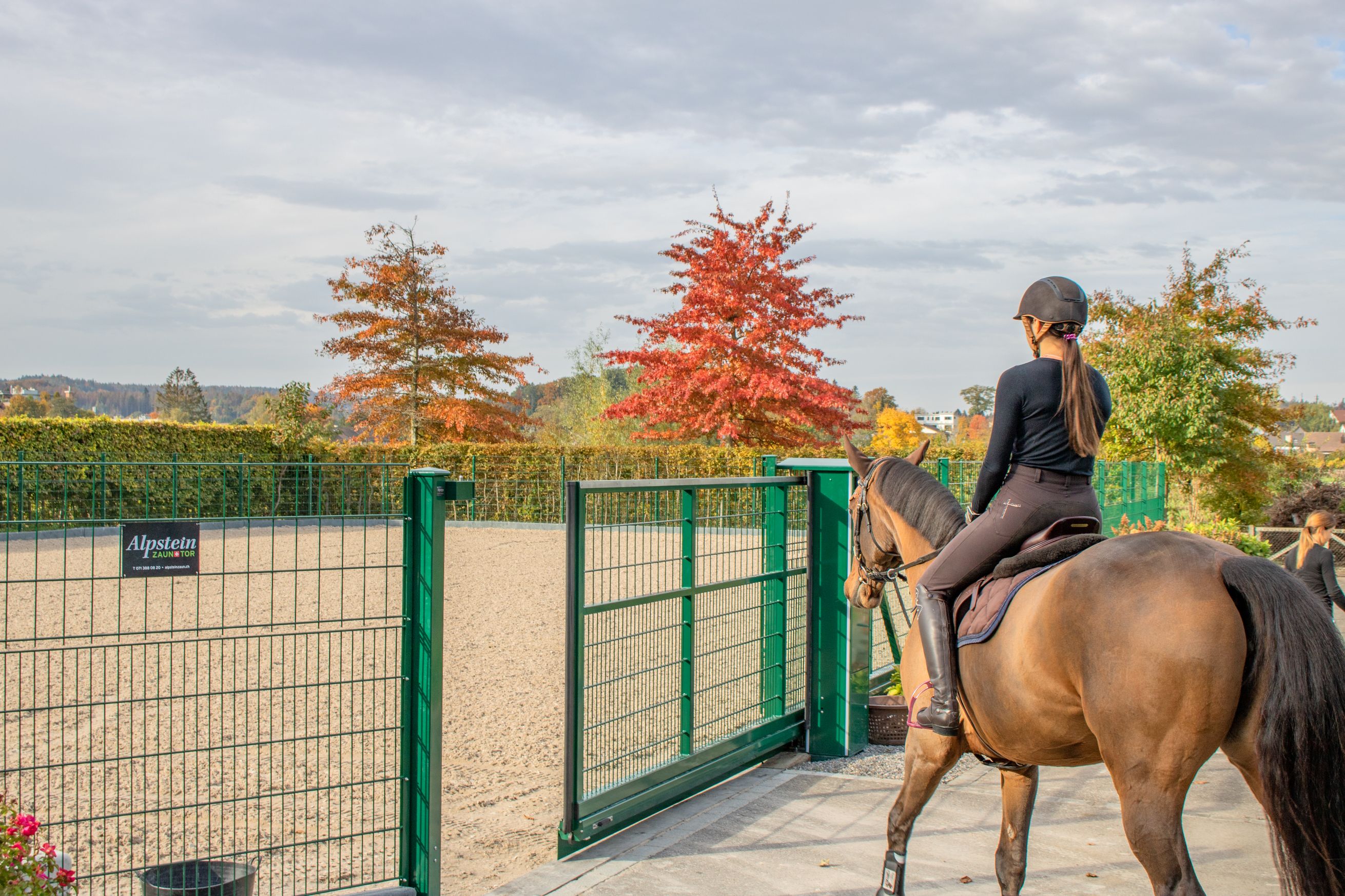 Bilder Alpsteinzaun + Tor AG