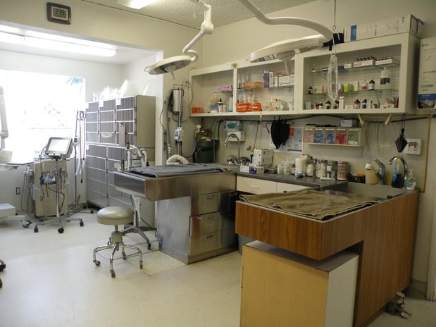 Images VCA College Park - Ana Brook Animal Hospital