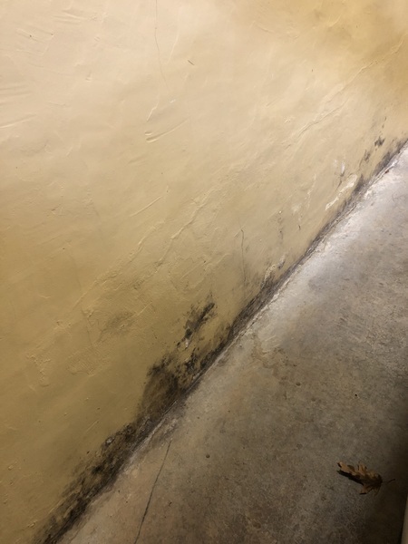 Images Ox Foundation Solutions