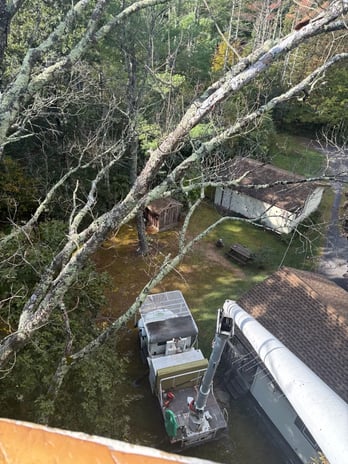 Images Spence’s Tree Care N Landscaping