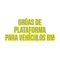 Grúas De Plataforma Para Vehículos Bm Hermosillo