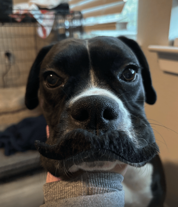 Images River Avenue Digital