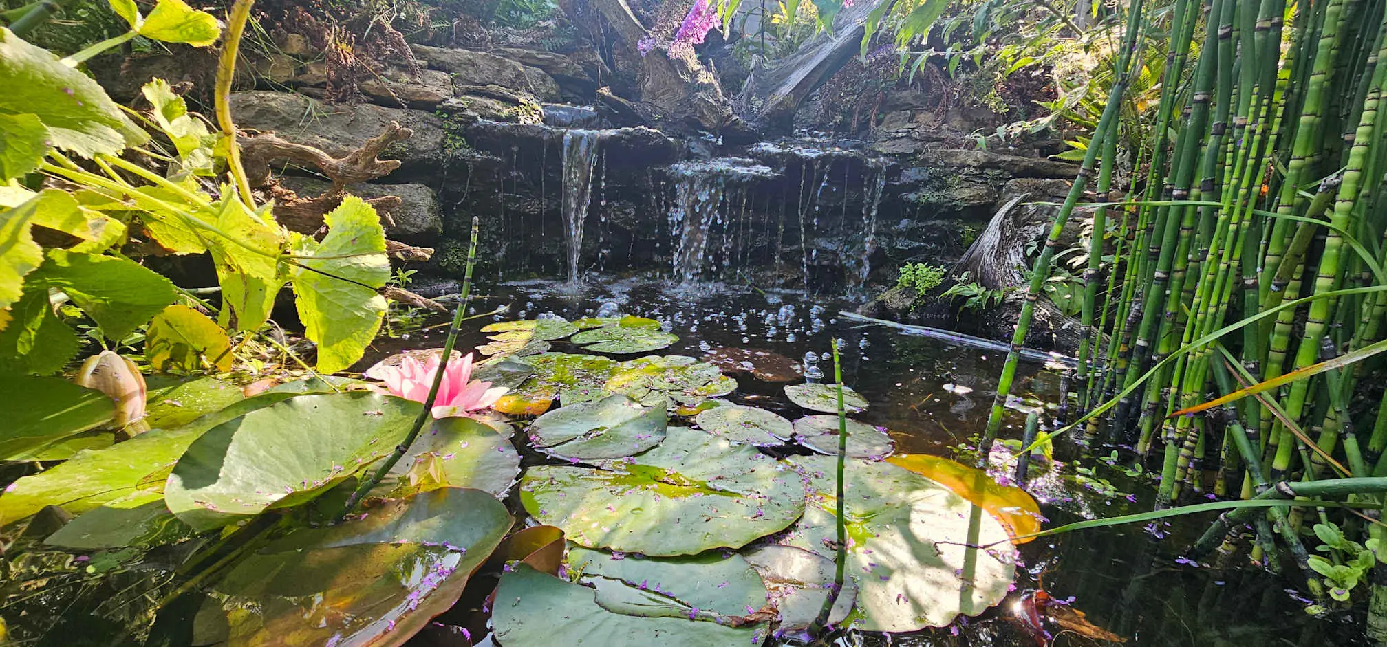 Images Waterfalls Naturally Ltd