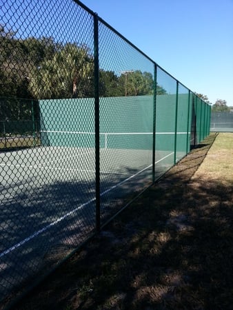 Images Heard Fences