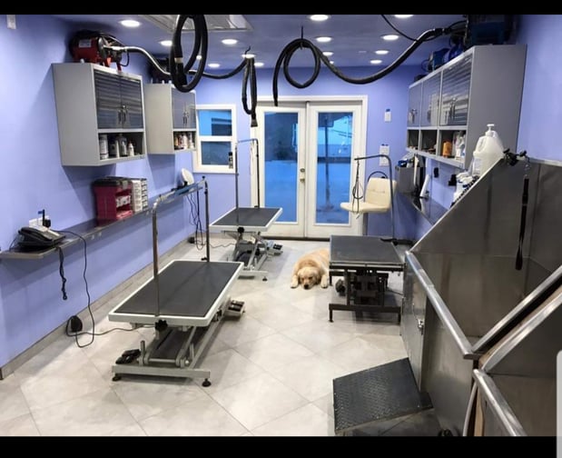 Images Margale Pet Resort