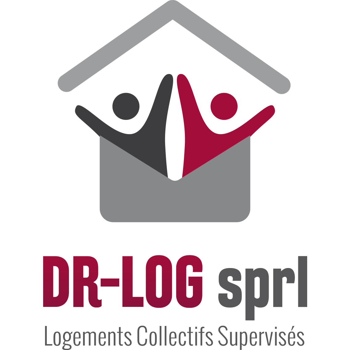 DR-Log sprl - Mental Health Service - Tournai - 069 84 12 30 Belgium | ShowMeLocal.com