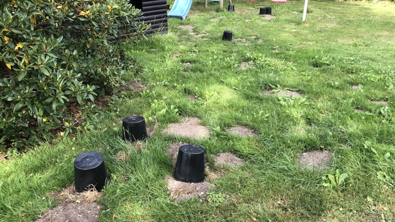 Images Havemandens Skadedyrsservice