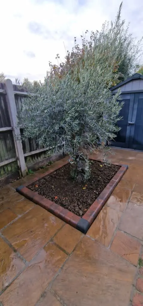 Images Luff Landscaping Ltd